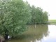Thumbs/tn_IMG_0209.jpg